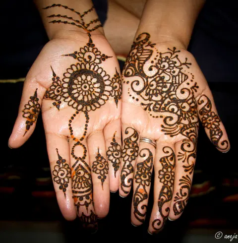 indian jaal full hand mehndi design