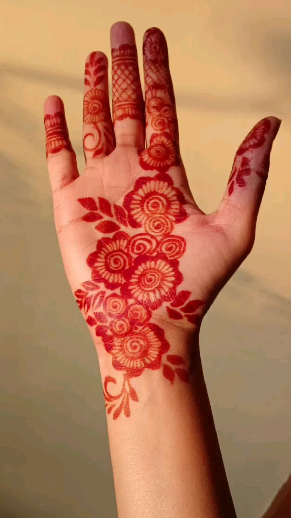 Aesthetic Arabic Front Hand Mehndi Design with Bel (7)
