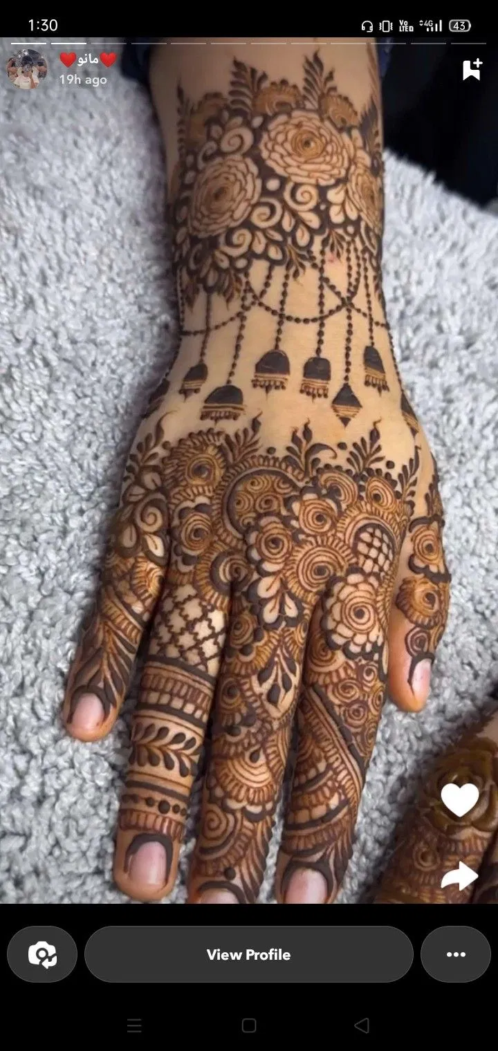 Bridal Pakistani Back Hand Mehndi Design for Eid (4)