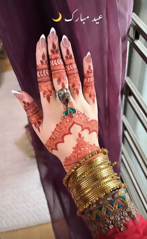 indian pakistani jaal finger mehndi design