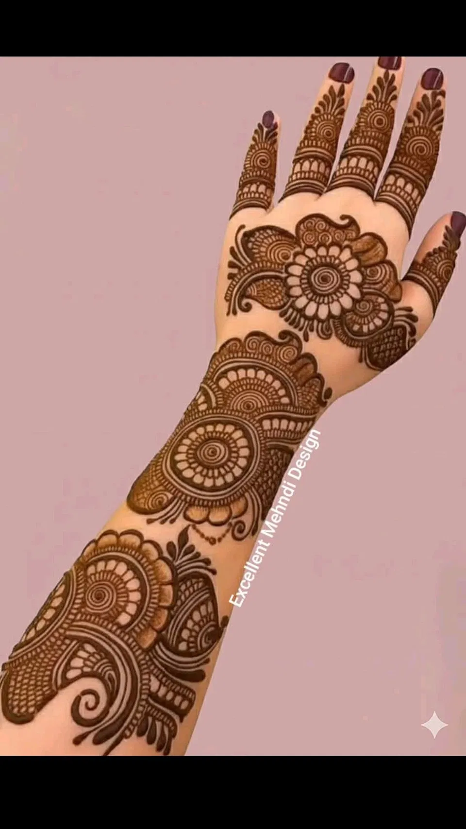 Bridal Indian Front Hand Mehndi Design for Teej (3)