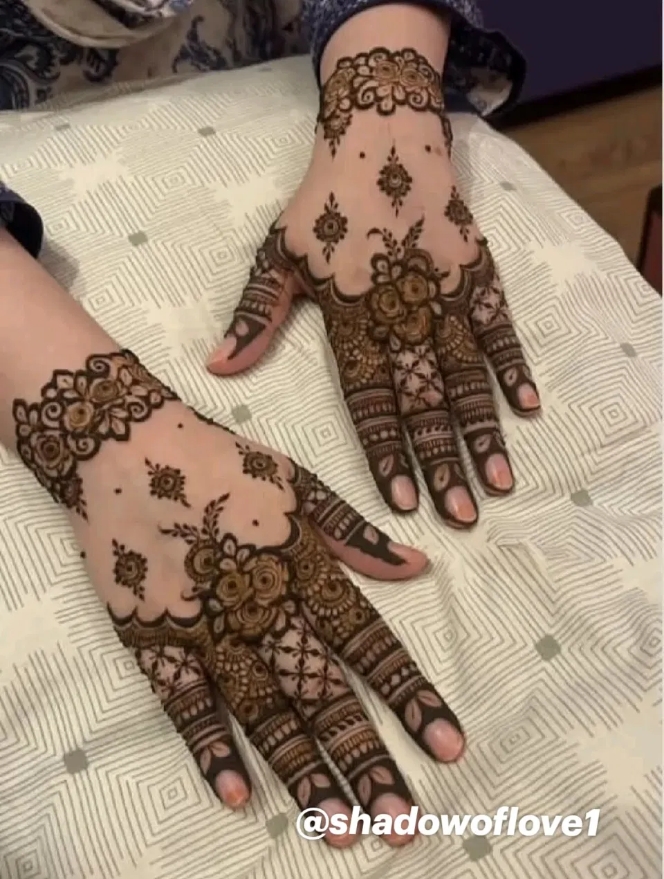 Aesthetic Pakistani Back Hand Mehndi Design with Jaal