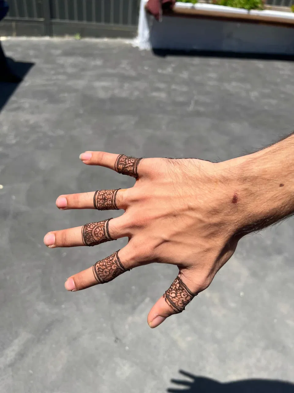 Simple Stylish Back Hand Mehndi Design (13)