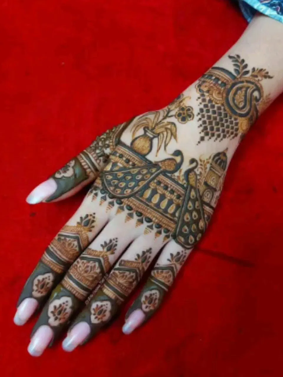 Bridal Indian Back Hand Mehndi Design with Peacock (5)