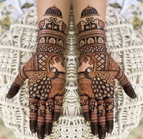 aesthetic indian figure back hand mehndi design
