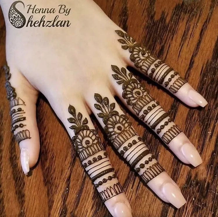 Simple Back Hand Mehndi Design with Jaal for Eid (3)