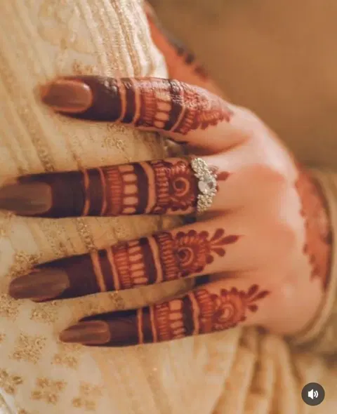 aesthetic royal back hand mehndi design