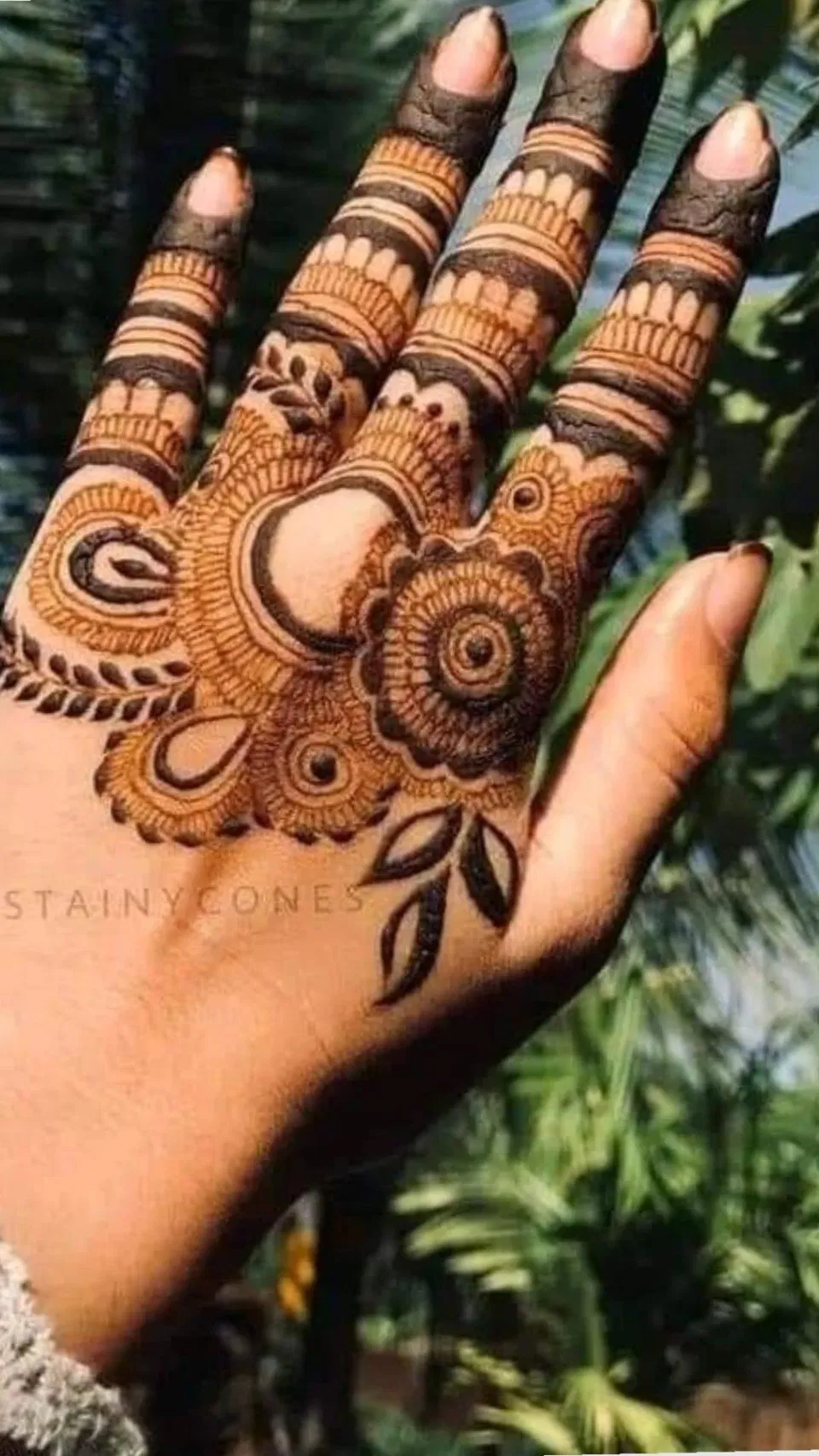 Stylish Back Hand Mehndi Design