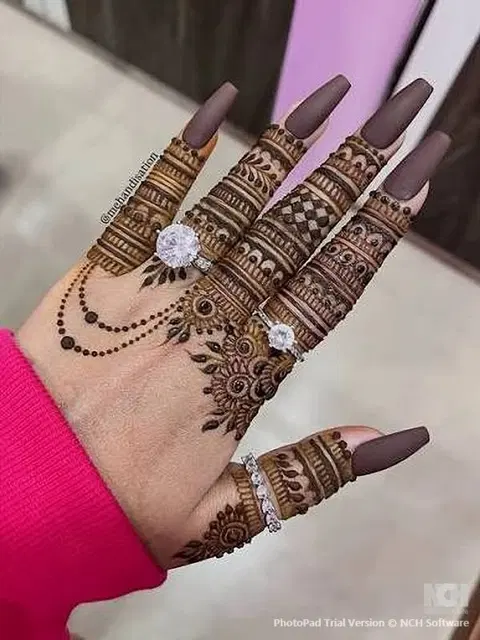 aesthetic royal back hand mehndi design