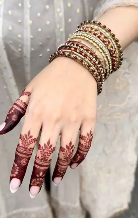 aesthetic royal back hand mehndi design