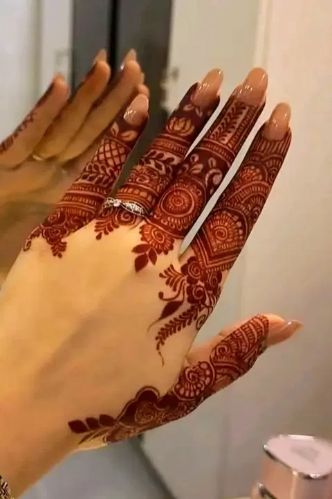 aesthetic royal back hand mehndi design