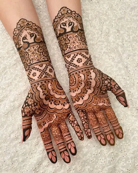 bridal pakistani figure back hand mehndi design