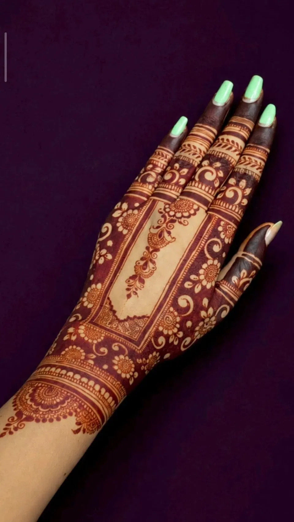 Aesthetic Royal Back Hand Mehndi Design with Gol Tikki (6)