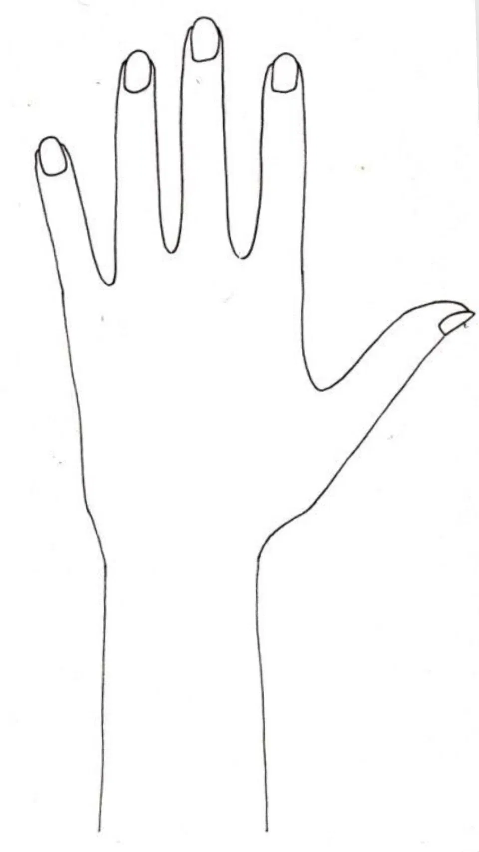 Back Hand Mehndi Design (2)