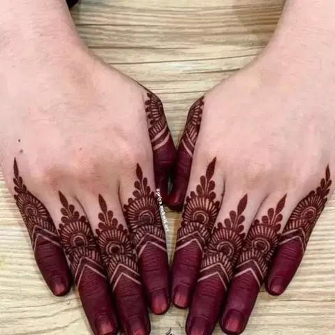 pakistani royal back hand mehndi design
