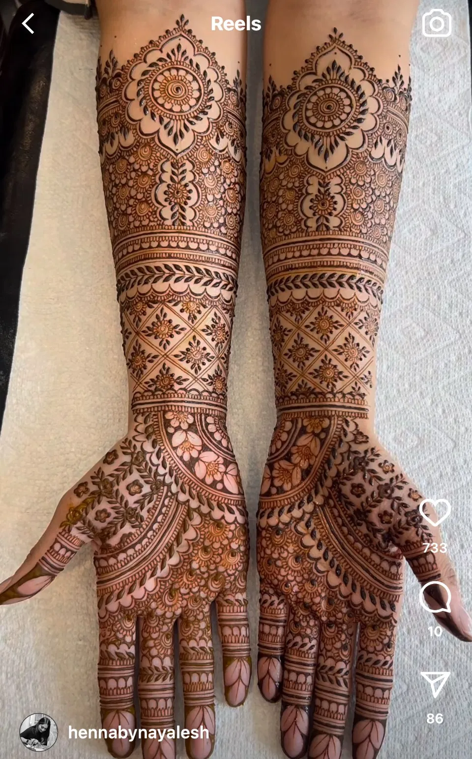 Bridal Stylish Arm Mehndi Design with Figures and Jaal (2)