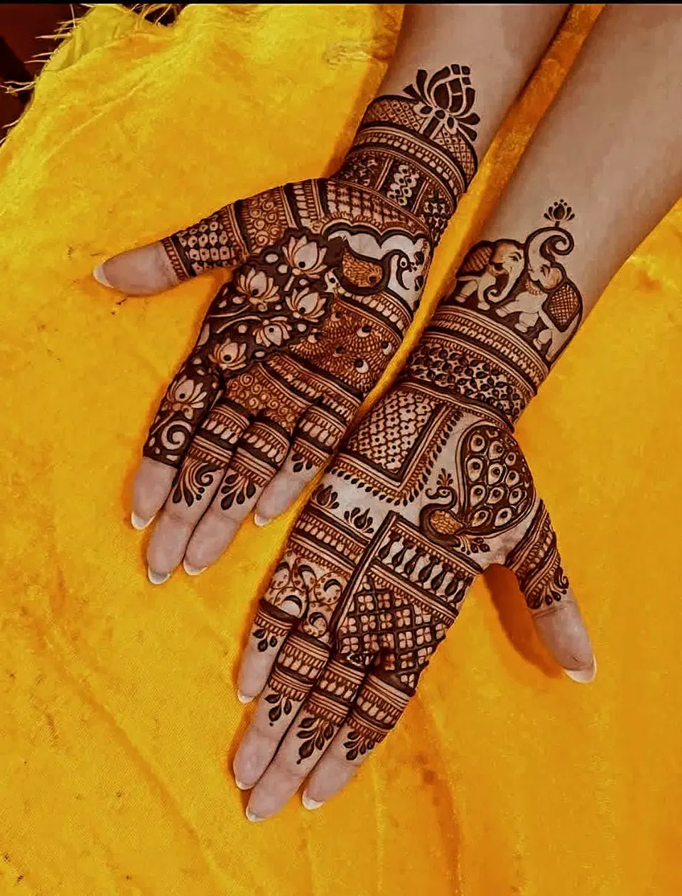 Back Hand Mehndi Design