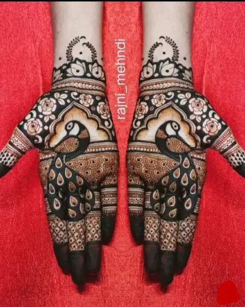 stylish figure front hand mehndi design