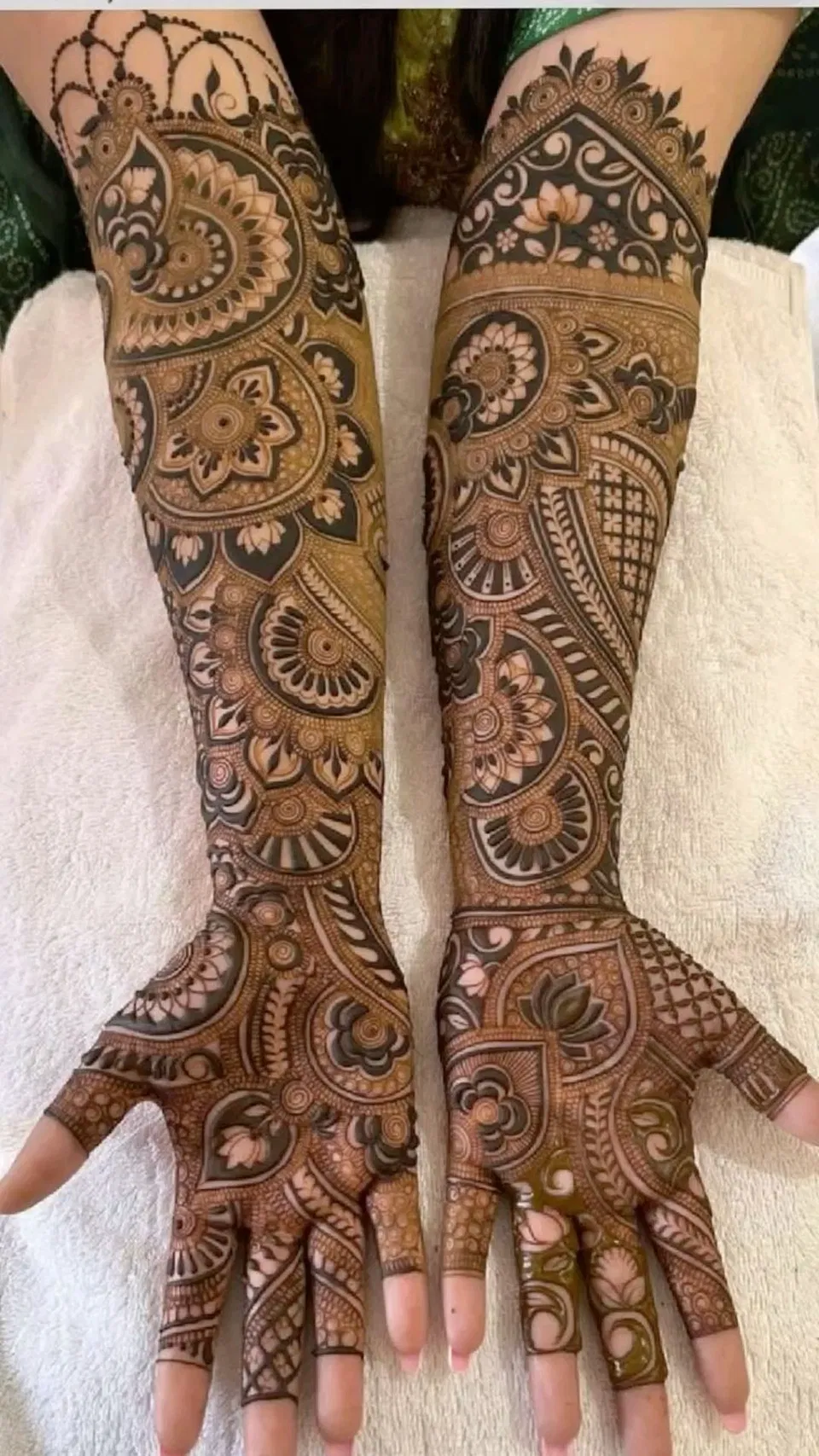 Bridal Indian Arm Mehndi Design with Figures and Jaal