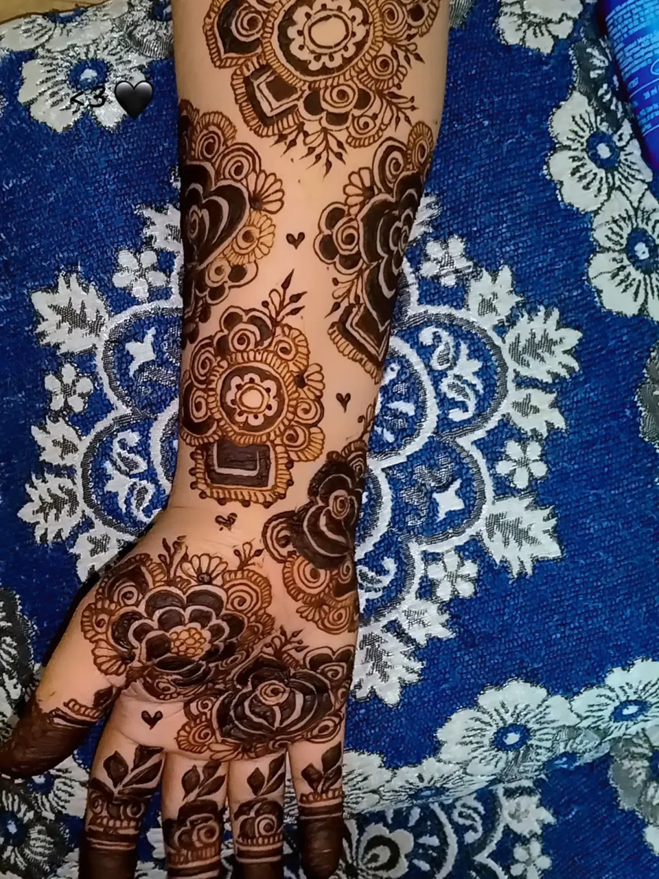 Aesthetic Full Hand Mehndi Design
