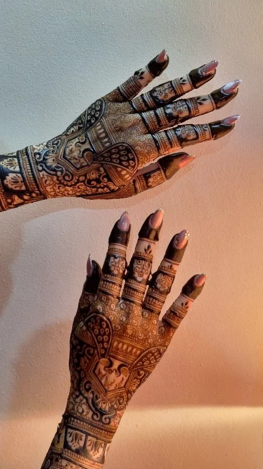 Aesthetic Bridal Back Hand Mehndi Design