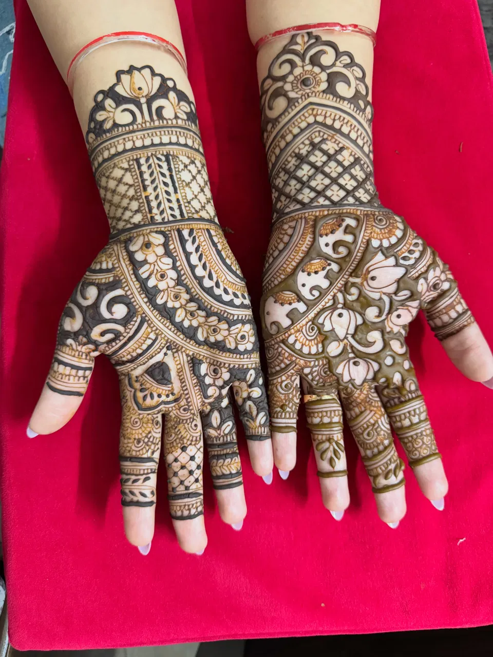 Bridal Full Hand Mehndi Design