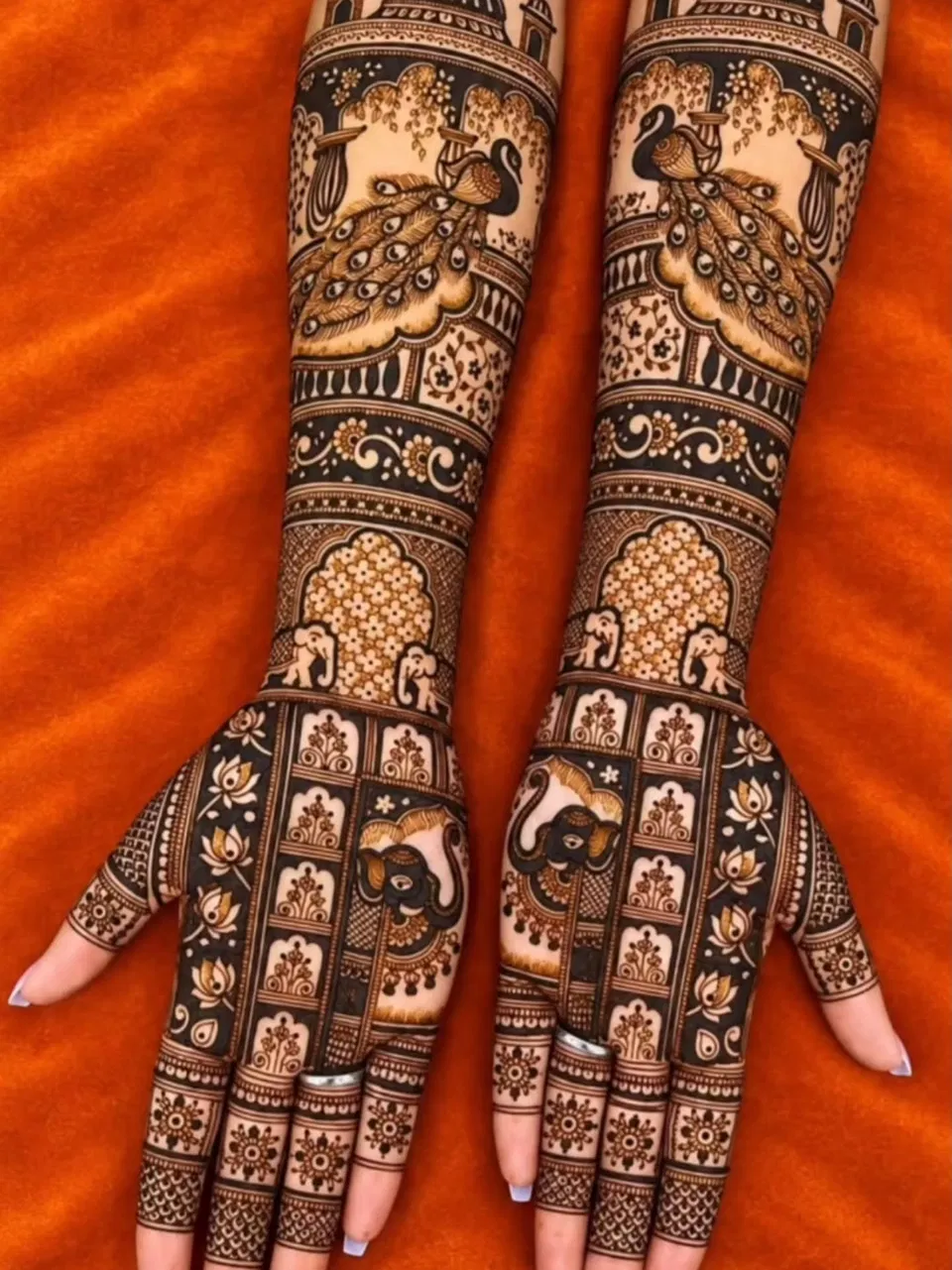 Full Hand Mehndi Design with Figures (2)