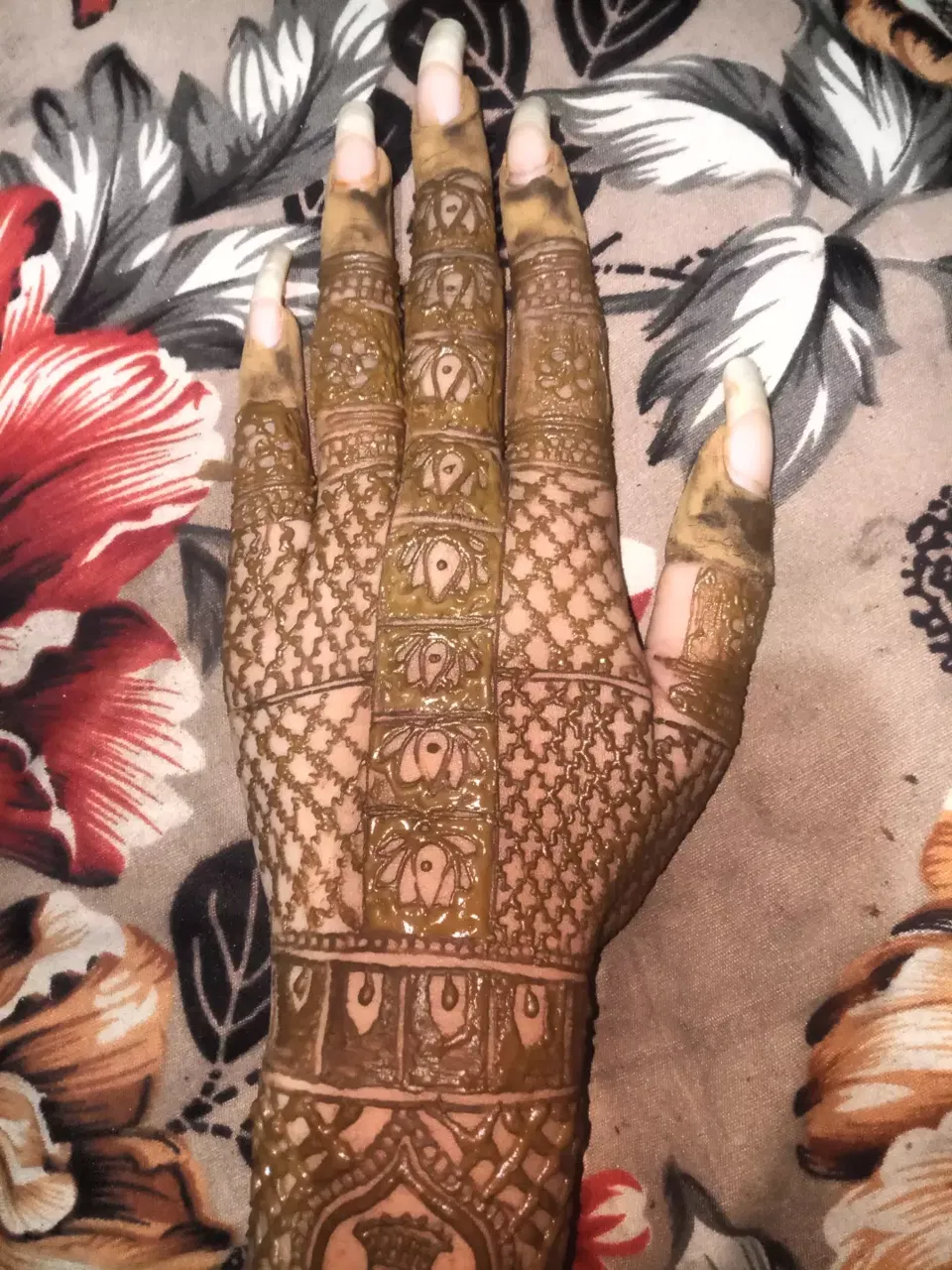 Aesthetic Bridal Full Hand Mehndi Design (3)