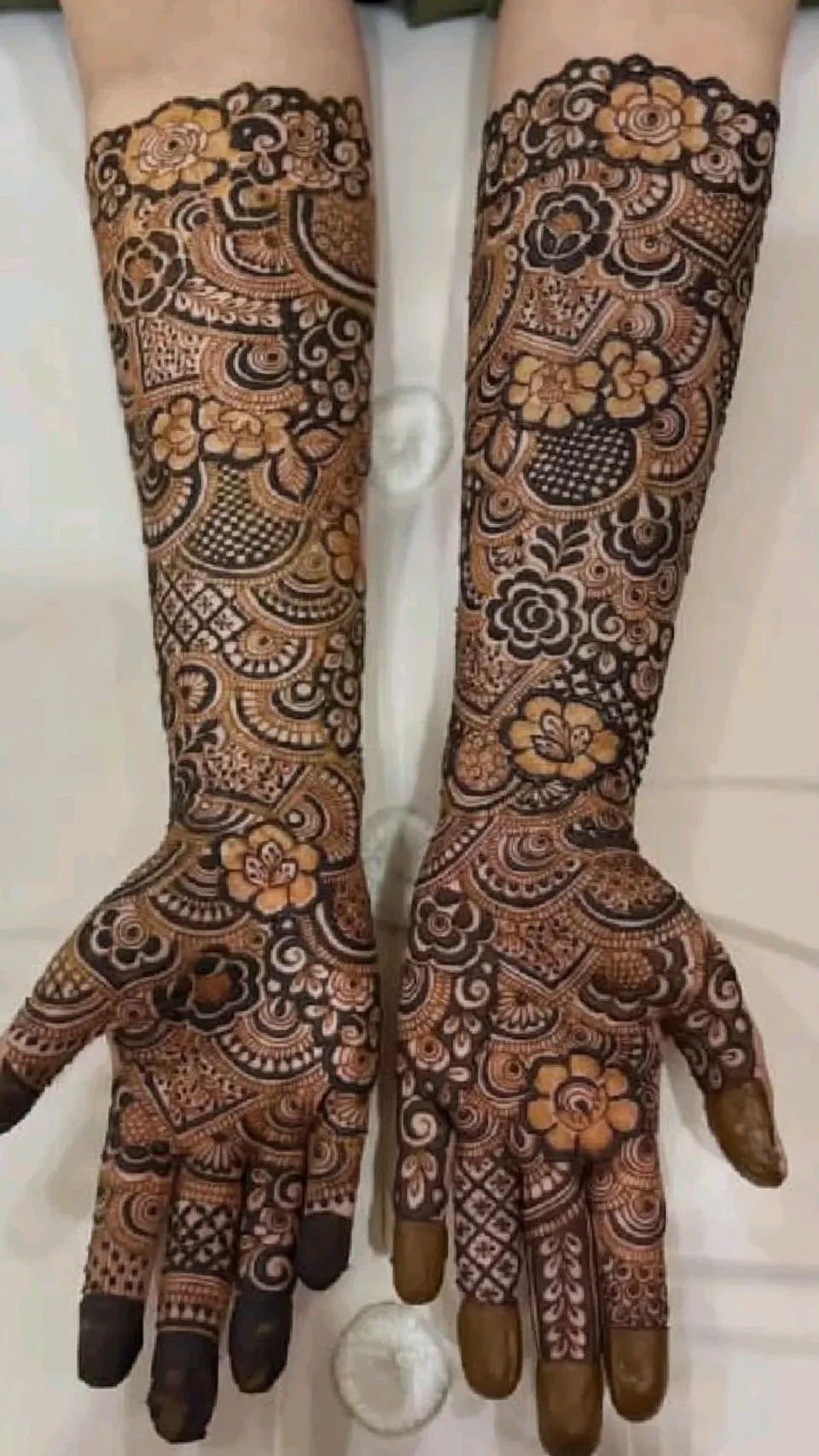 Aesthetic Arabic Arm Mehndi Design with Figures and Jaal (2)
