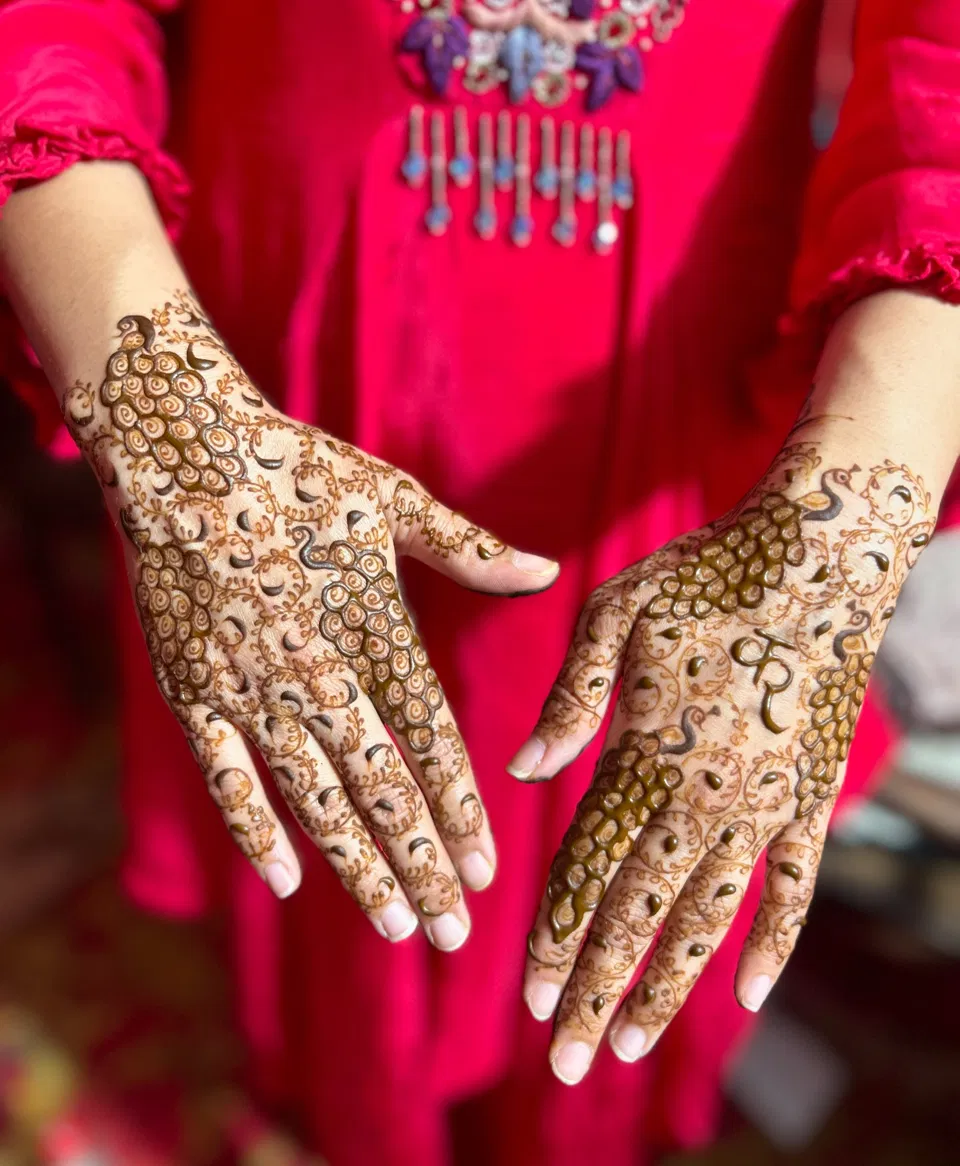Aesthetic Full Hand Mehndi Design