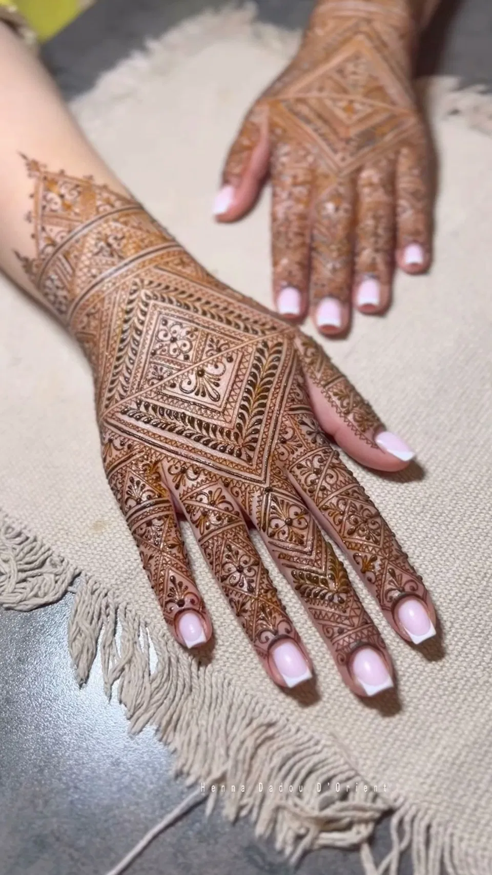 Bridal Indian Arm Mehndi Design (3)