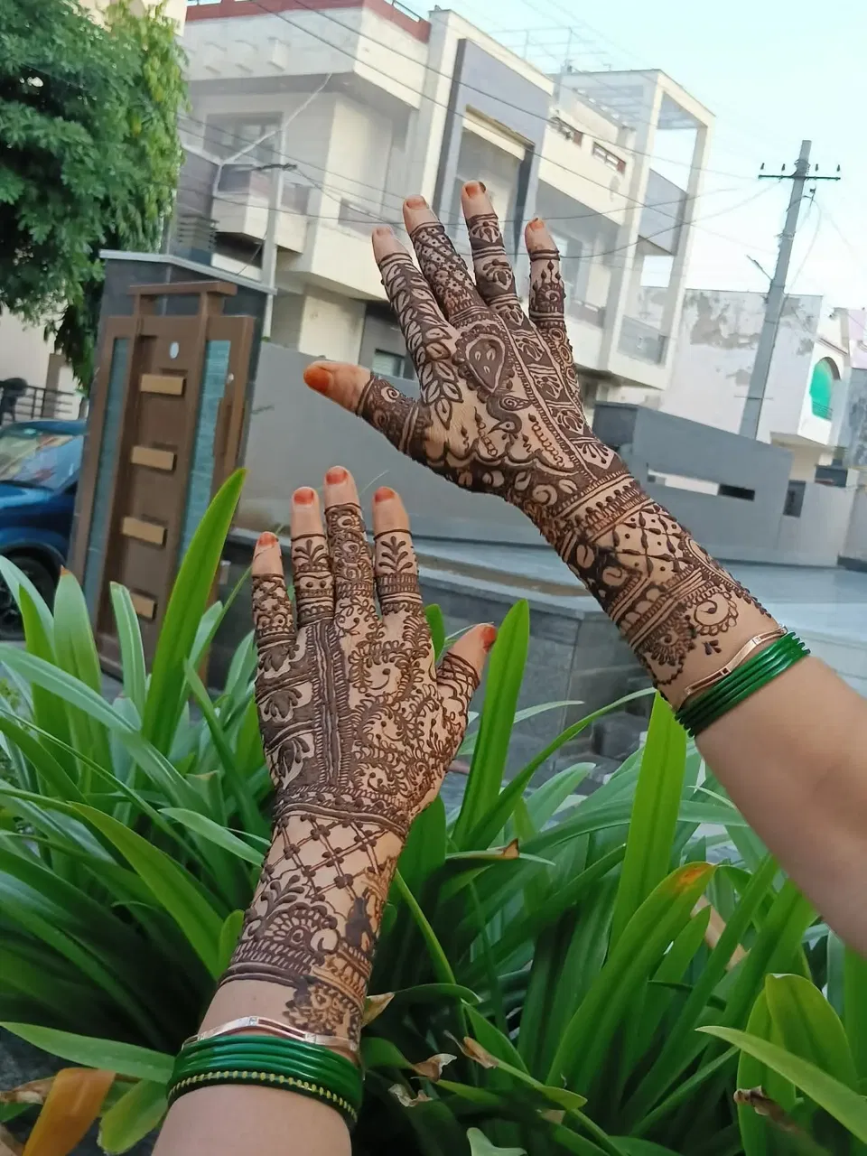 Mehndi Design (4)