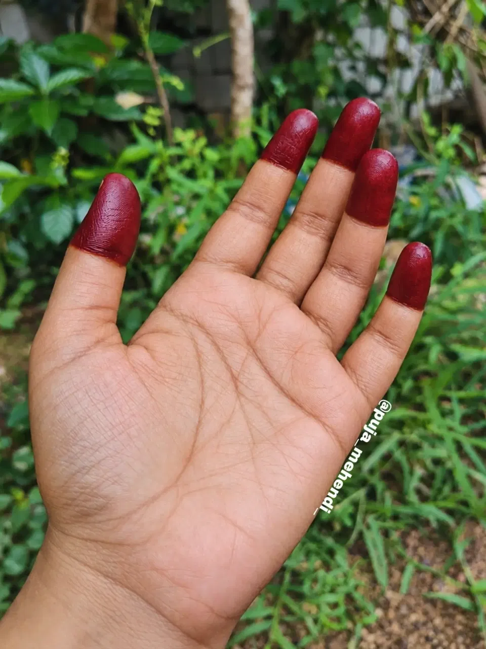 Minimal Simple Finger Mehndi Design