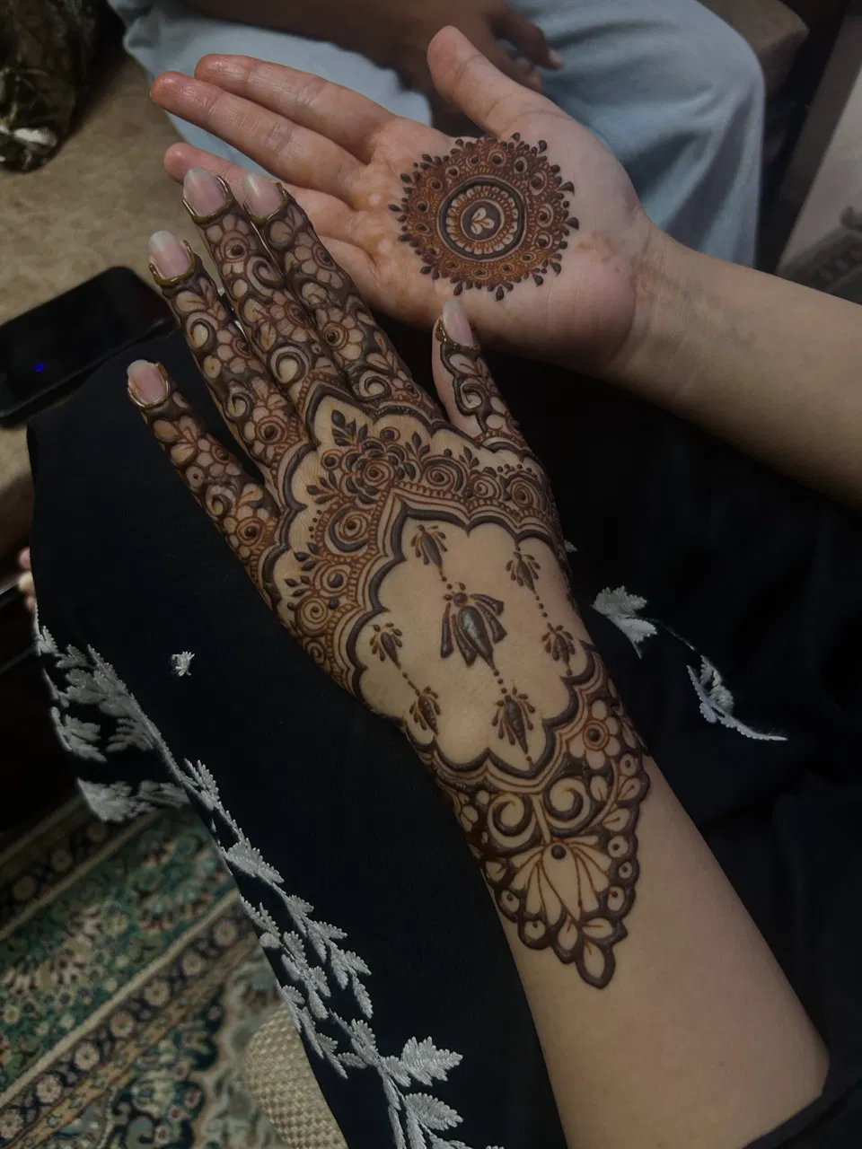 Bridal Full Hand Mehndi Design (2)