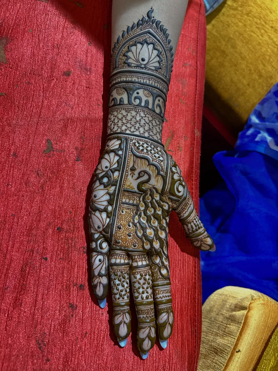 Bridal Full Hand Mehndi Design (3)