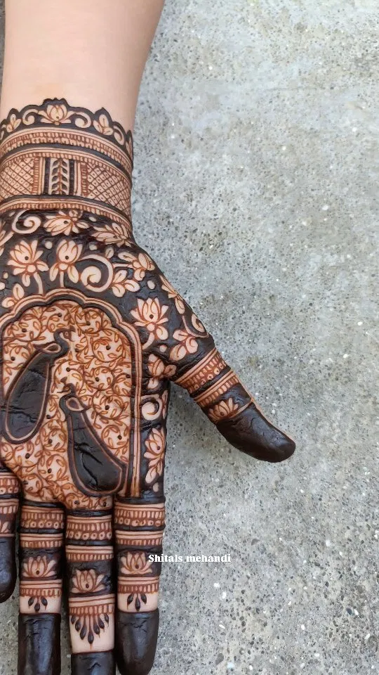 Aesthetic Mehndi Design