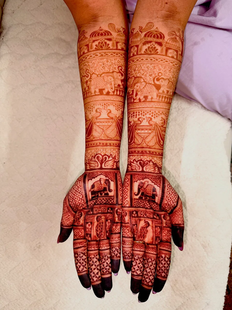 Bridal Back Hand Mehndi Design with Figures (13)