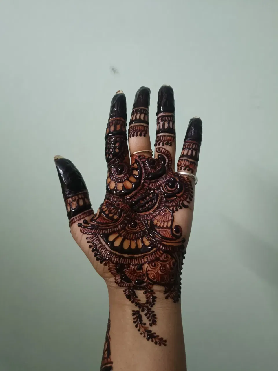 Bridal Front Hand Mehndi Design (2)
