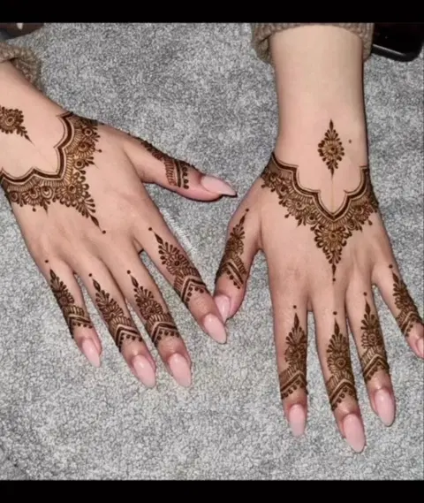 aesthetic minimal jaal back hand mehndi design