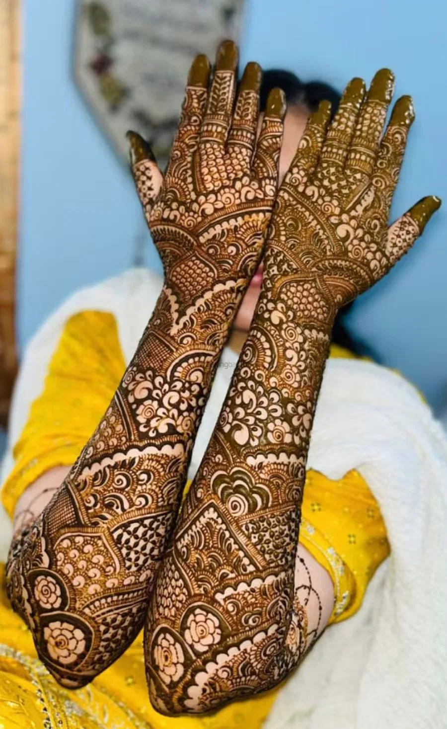 Full Hand Mehndi Design (2)