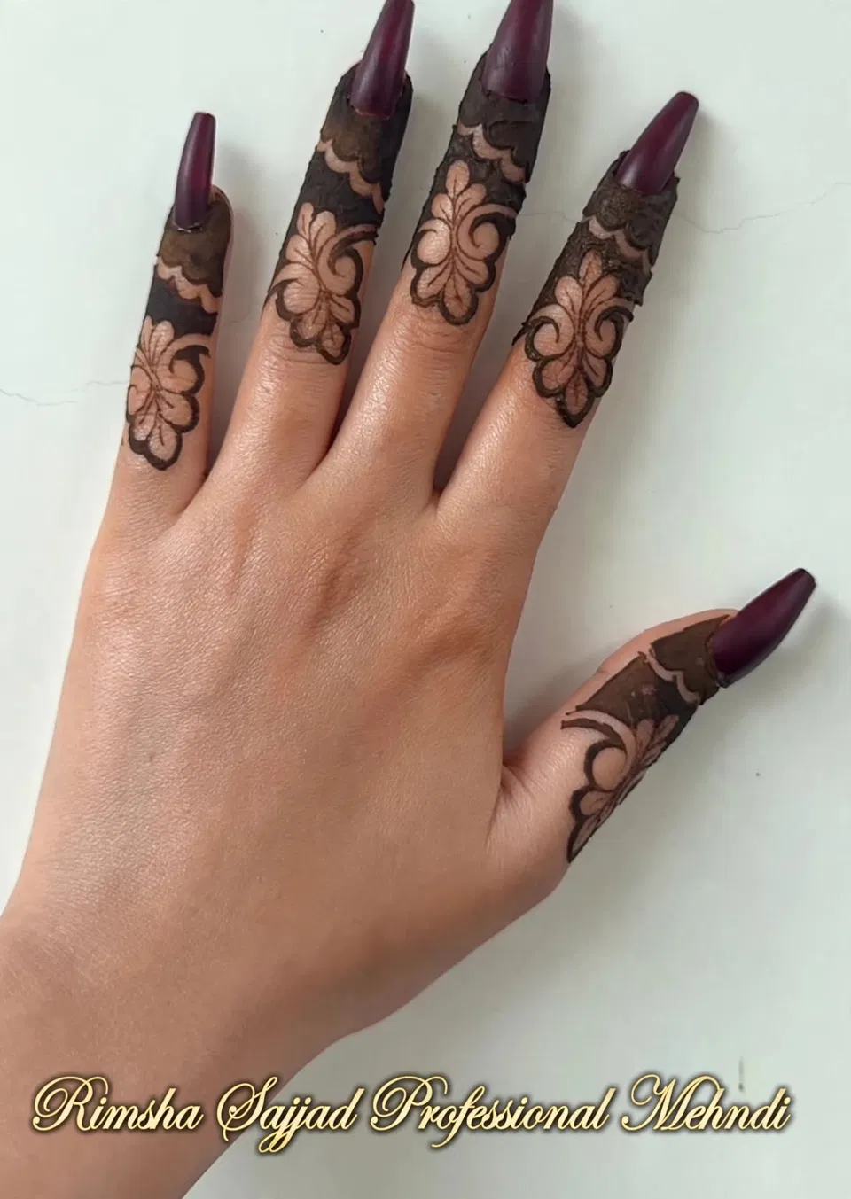 Aesthetic Arabic Back Hand Mehndi Design with Jaal (5)