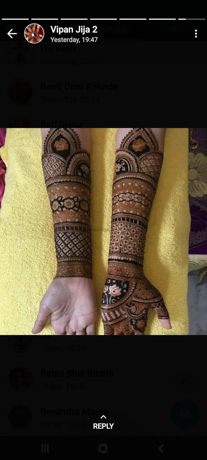 Front Hand Mehndi Design with Figures (2)