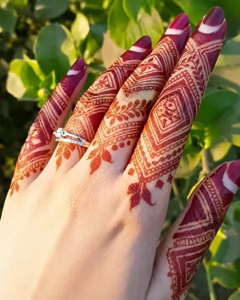 aesthetic royal back hand mehndi design