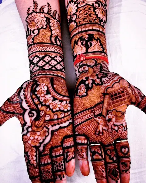 figure full hand mehndi design