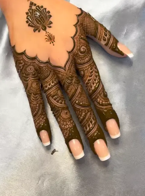 aesthetic royal back hand mehndi design