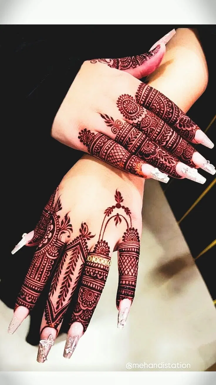 Aesthetic Royal Back Hand Mehndi Design with Jaal (2)