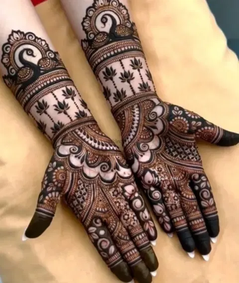bridal indian figure front hand mehndi design