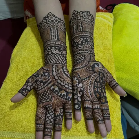 figure full hand mehndi design