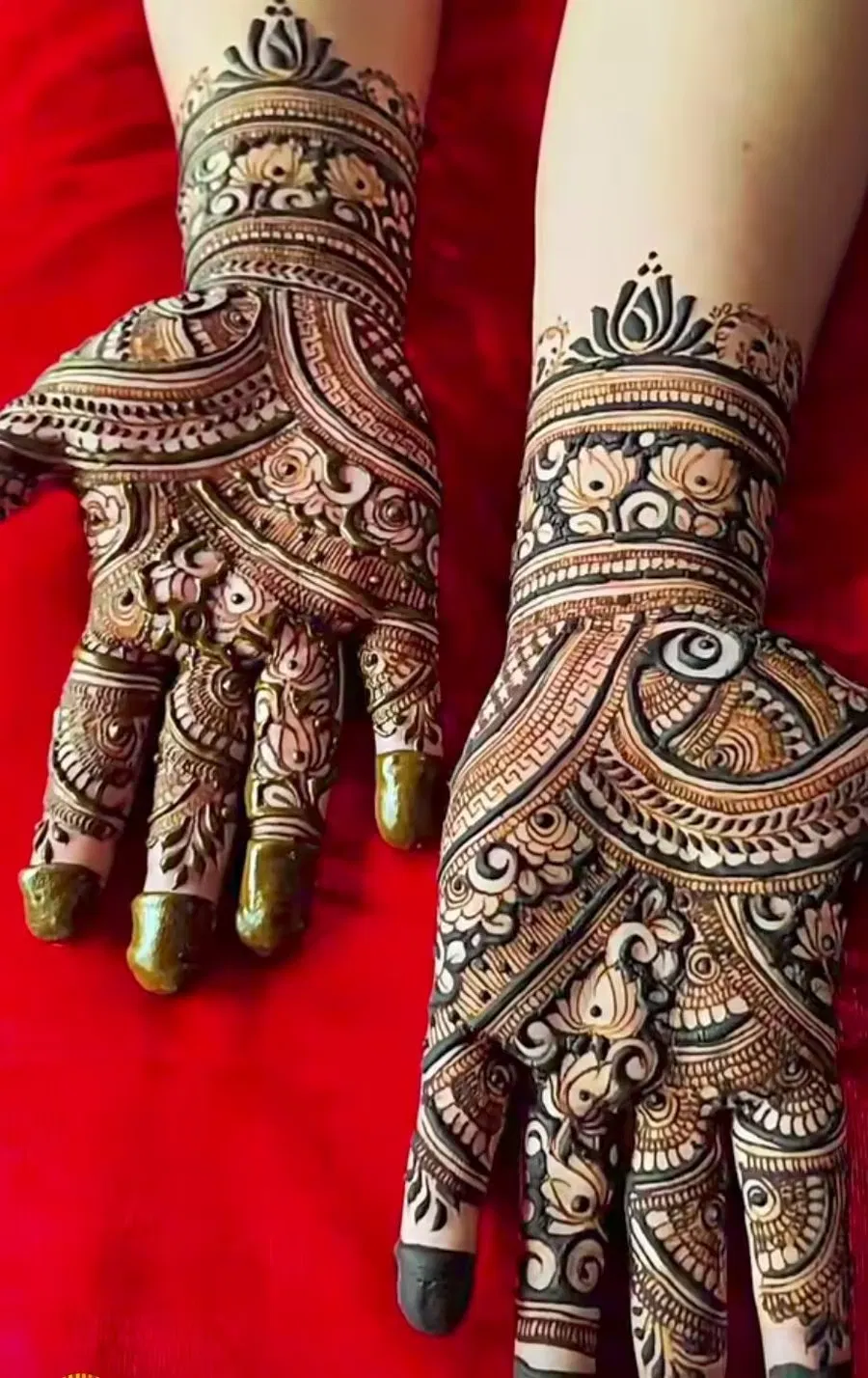 Full Hand Mehndi Design