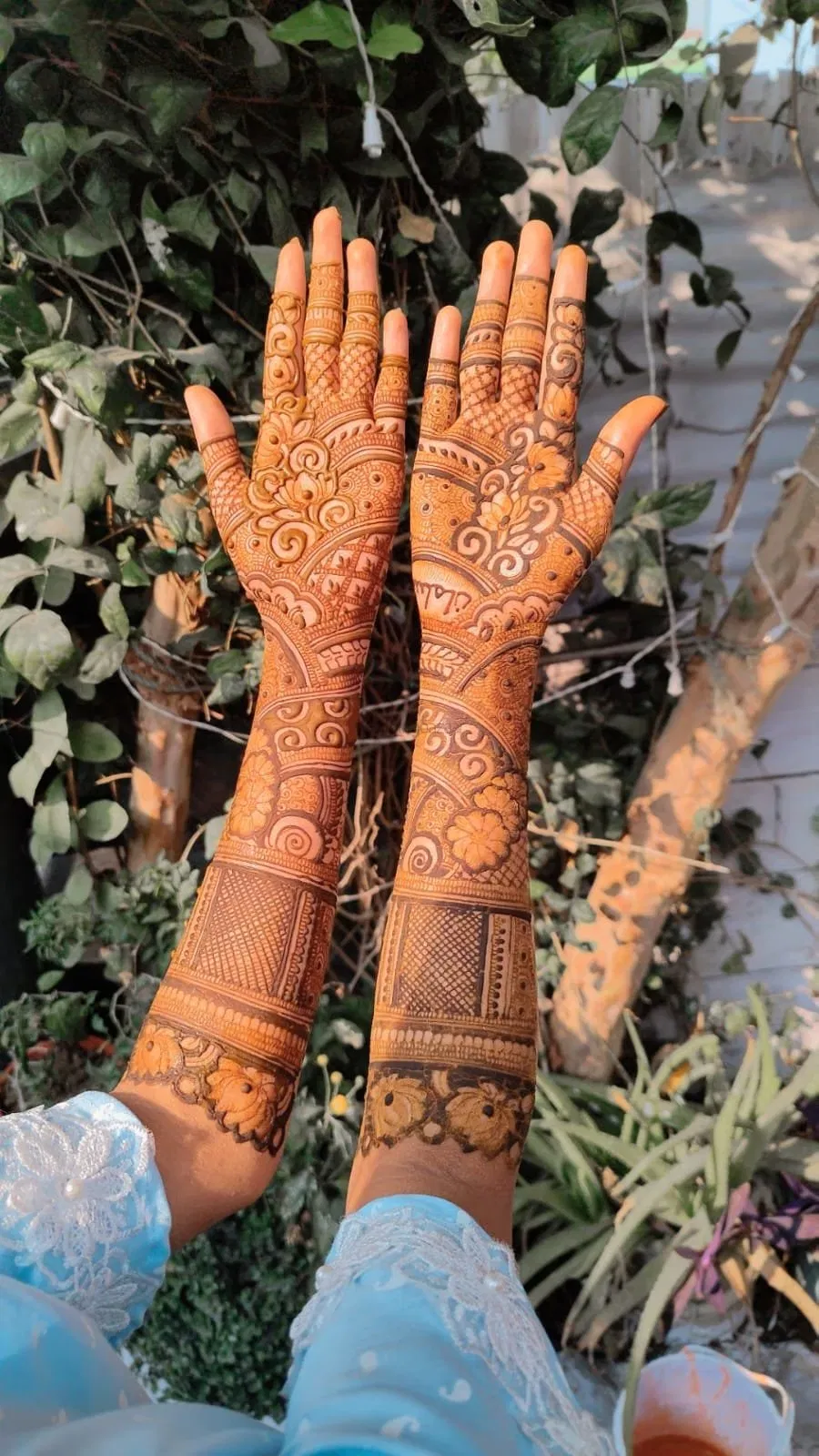 Mehndi Design (2)